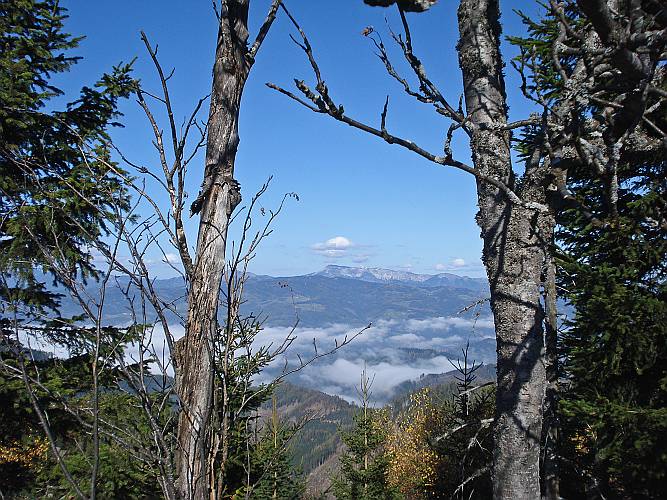 38 Die Hohe Veitsch im Hintergrund